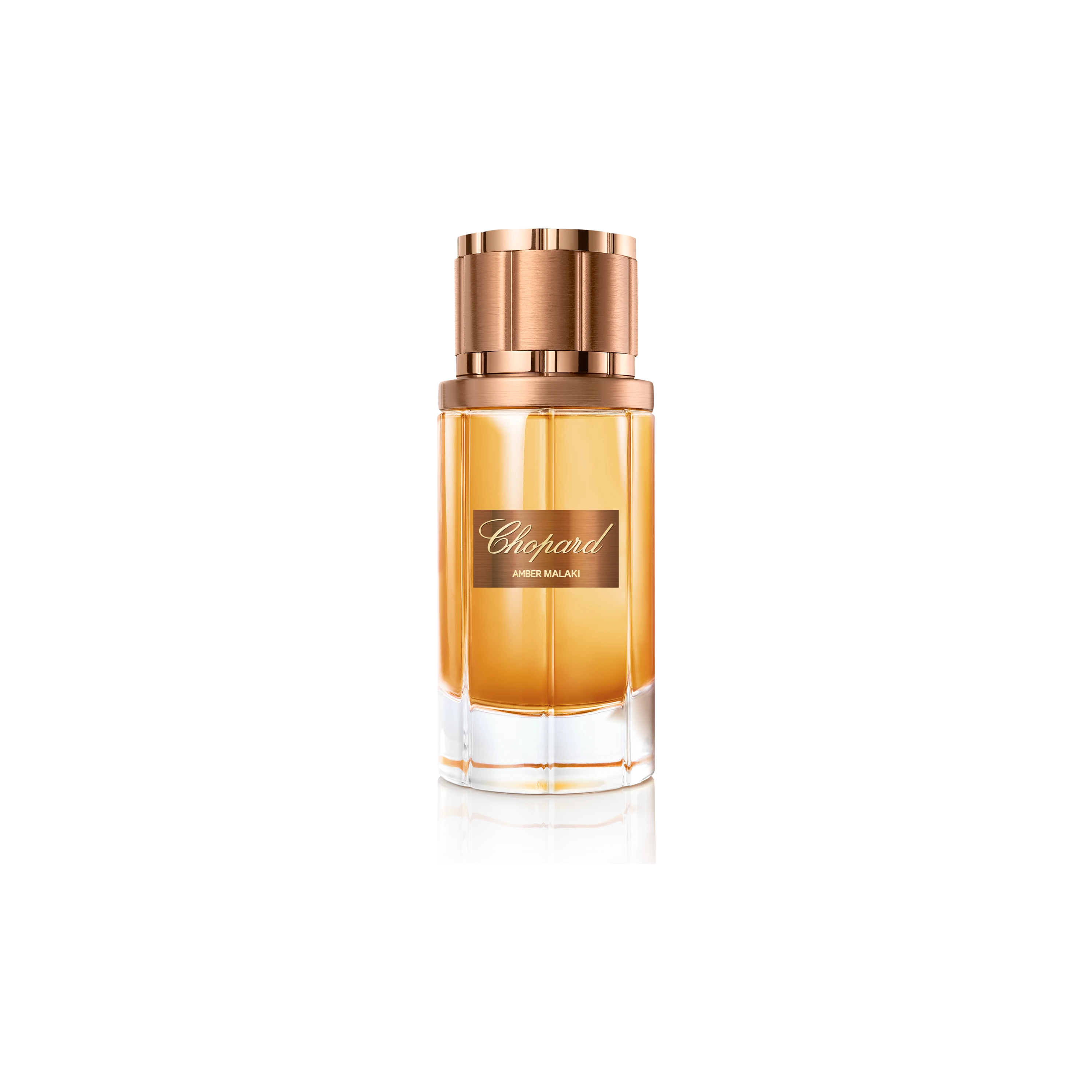 Amber Maliki|Eau de parfum