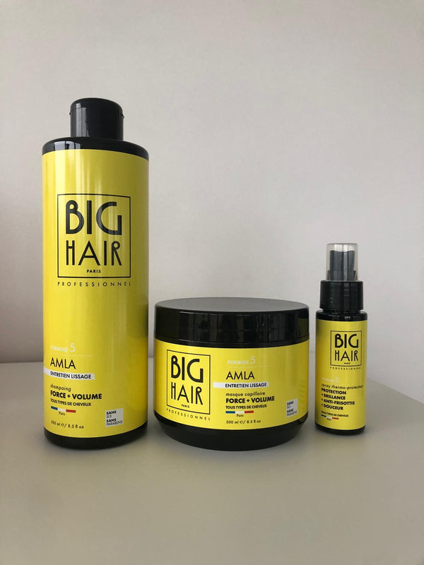 Kraft- und Volumensortiment mit Amla | Big Hair Paris